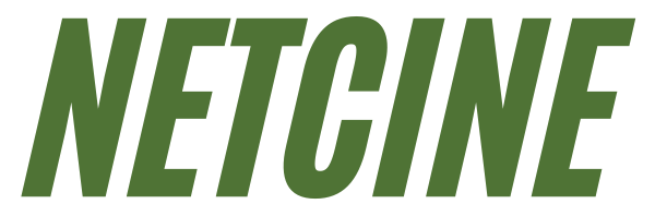 Netcine logo